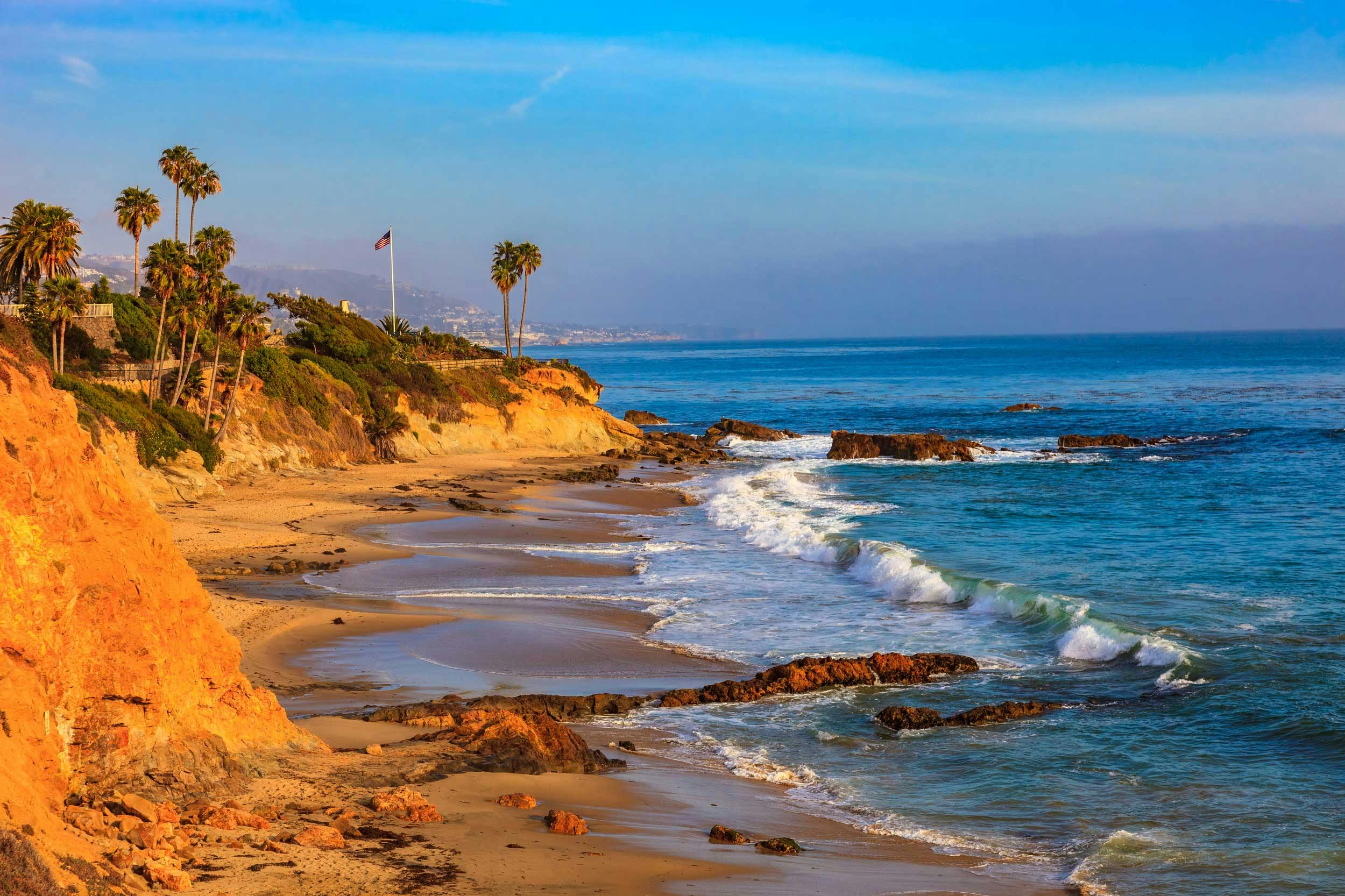【ふるさと割】 California | Advisory, Tax and Assurance | Baker Tilly その他観葉植物