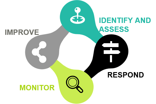 Enterprise risk management (ERM ) structure