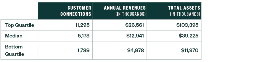 Chart of customer connections, annua revenues and total assets broken up by quartile