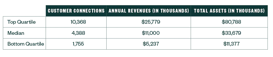 Table comparing the customer connections, annual revenues in thousands and total assets in thousands for the top quartile, median and bottom quartile