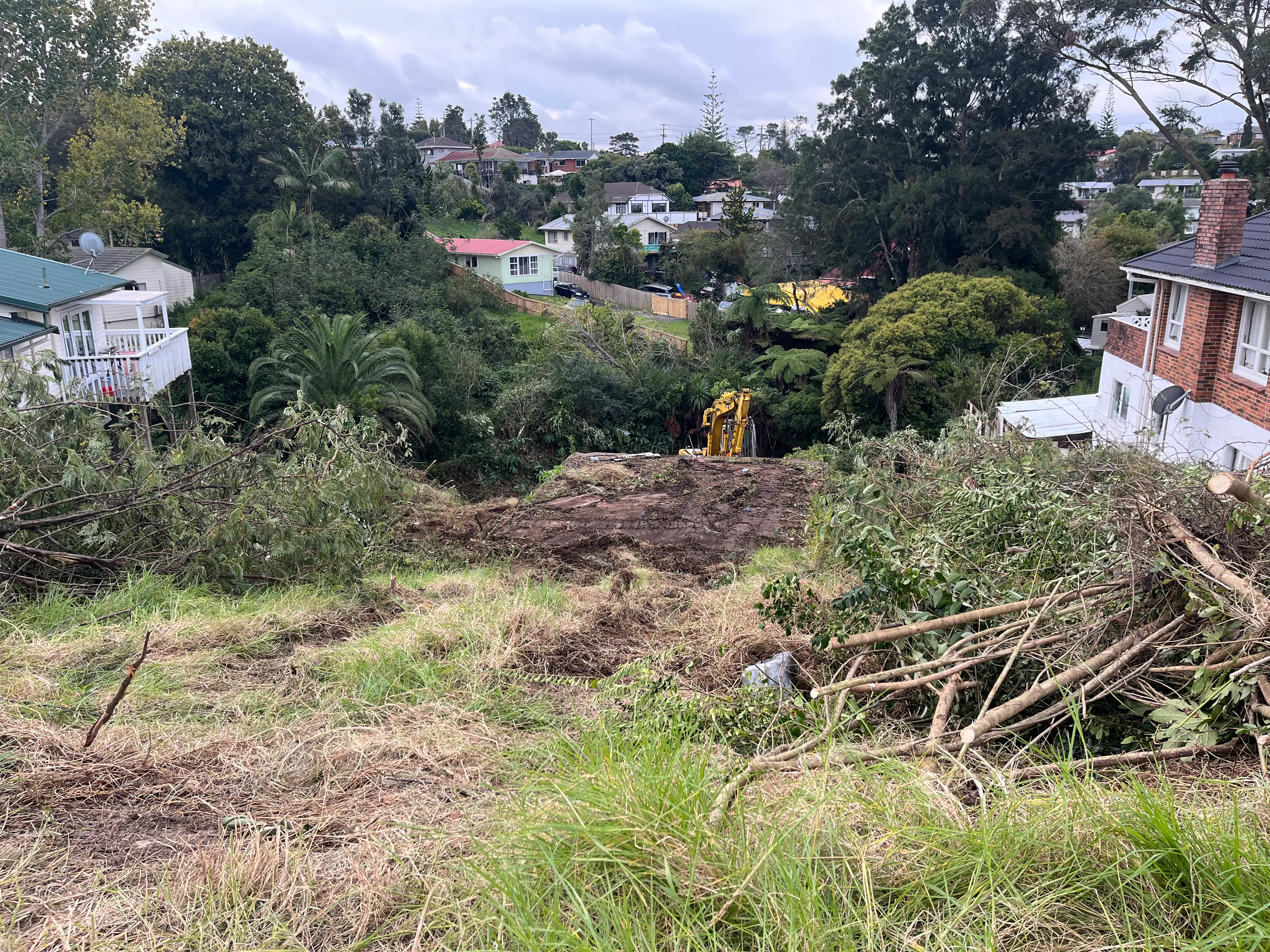 land clearing before