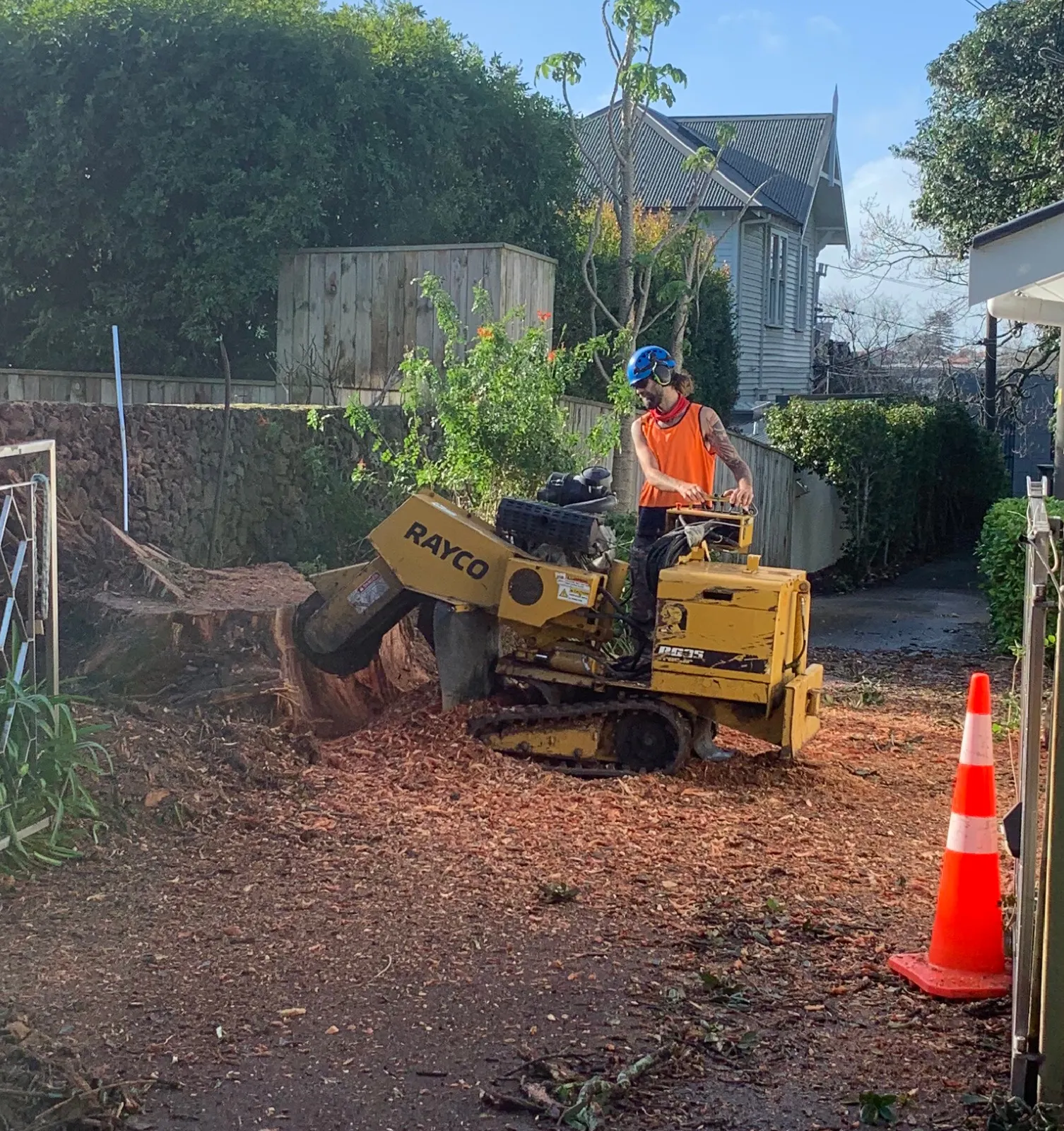 stump grinding