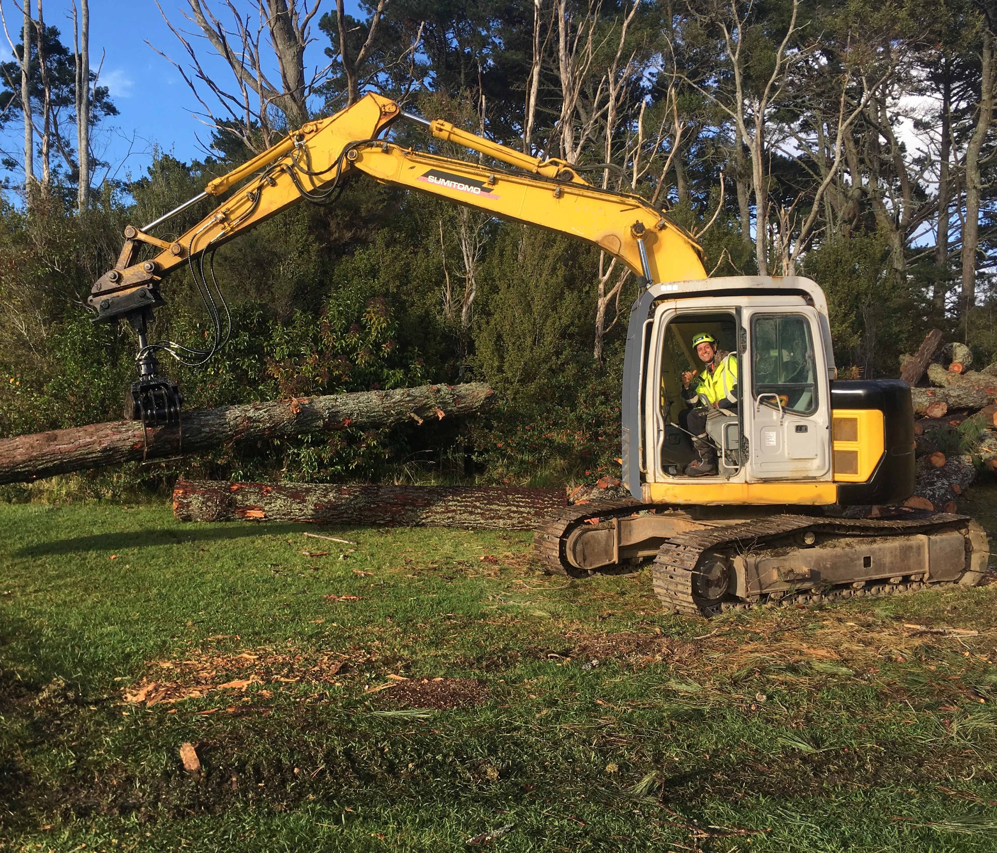 tree removal digger Auckland