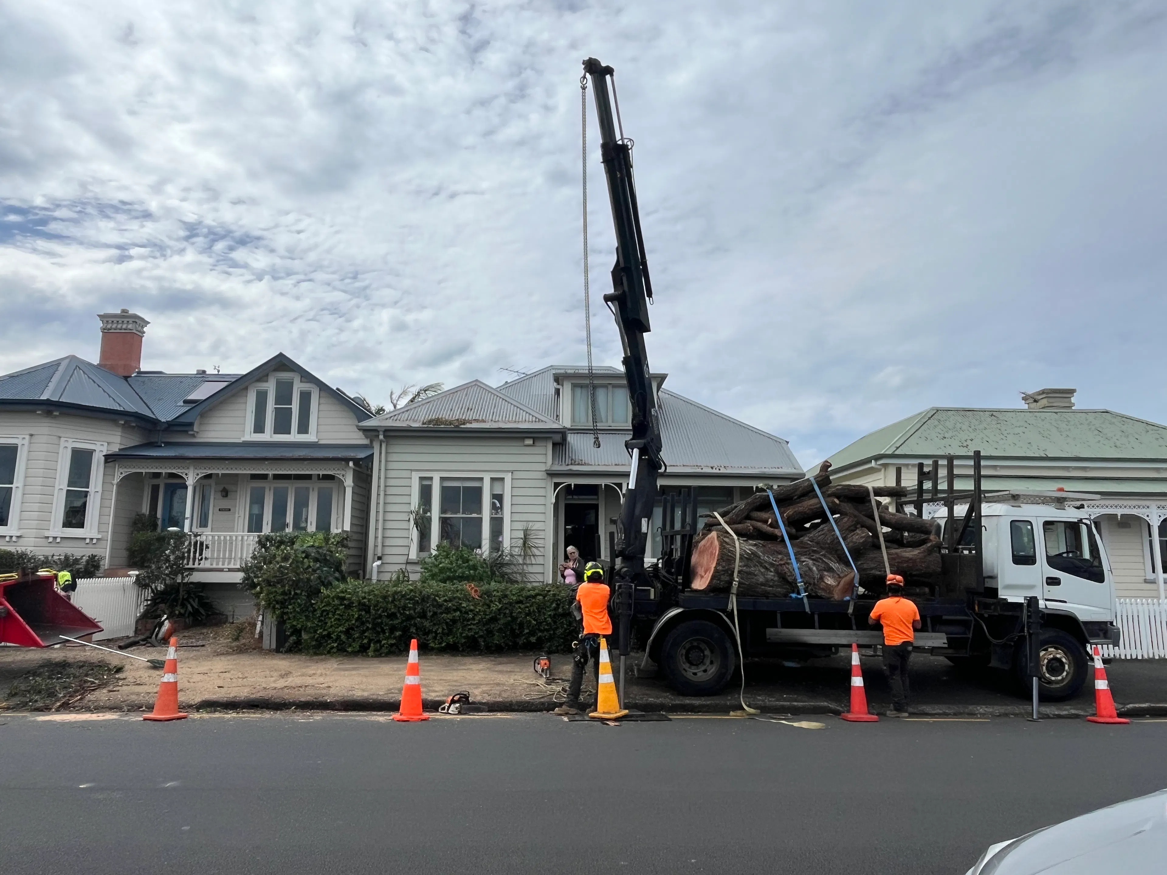 Tree fell Auckland