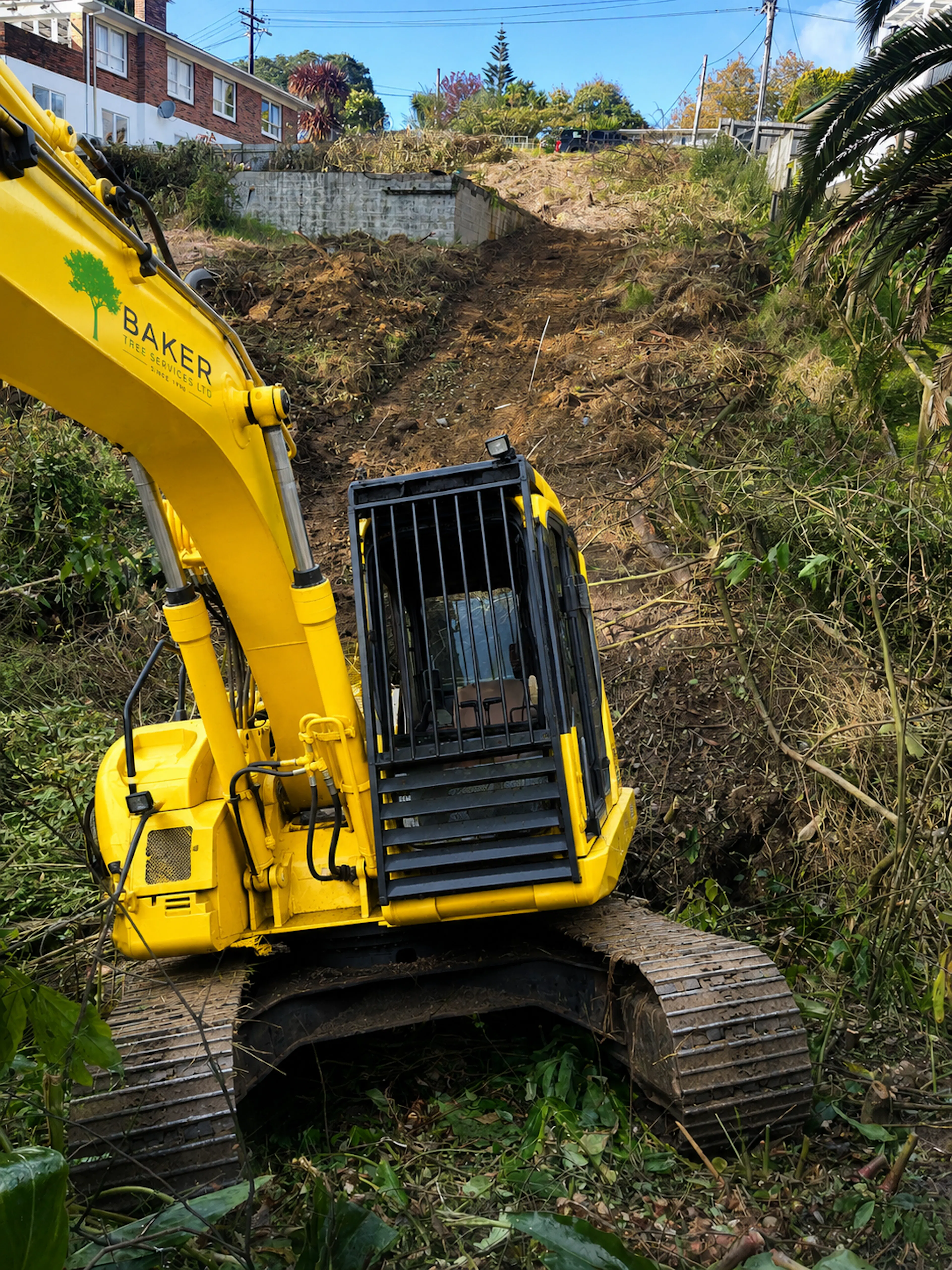land clearing Auckland