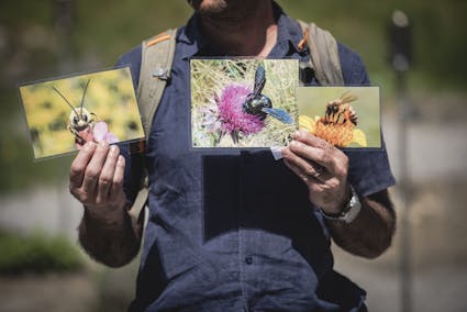 Impressionen vom Schulprogramm Vielfalt gfallt im Freilichtmuseum Ballenberg.
