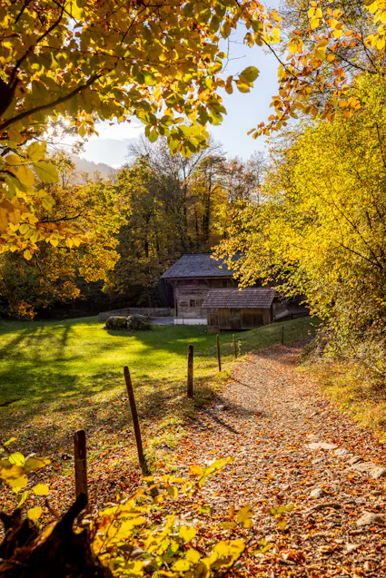 Der Herbst erhält Einzug auf dem Ballenberg