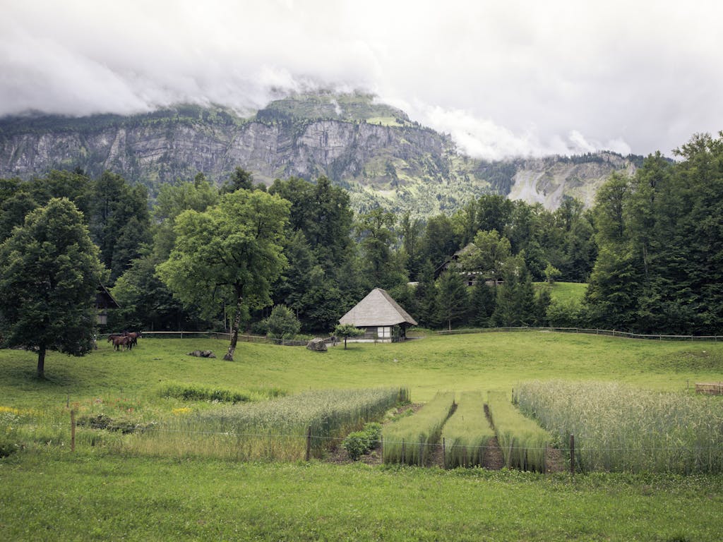 Spannende Märchen, Sagen und Klangdokumente aus verschiedenen Regionen der Schweiz, jeweils in der entsprechenden Mundart, wollen auf dem Ballenberg entdeckt werden.