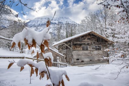 Das Wohnhaus aus Wattwil SG im Freilichtmuseum Ballenberg trägt sein Winterkleid.