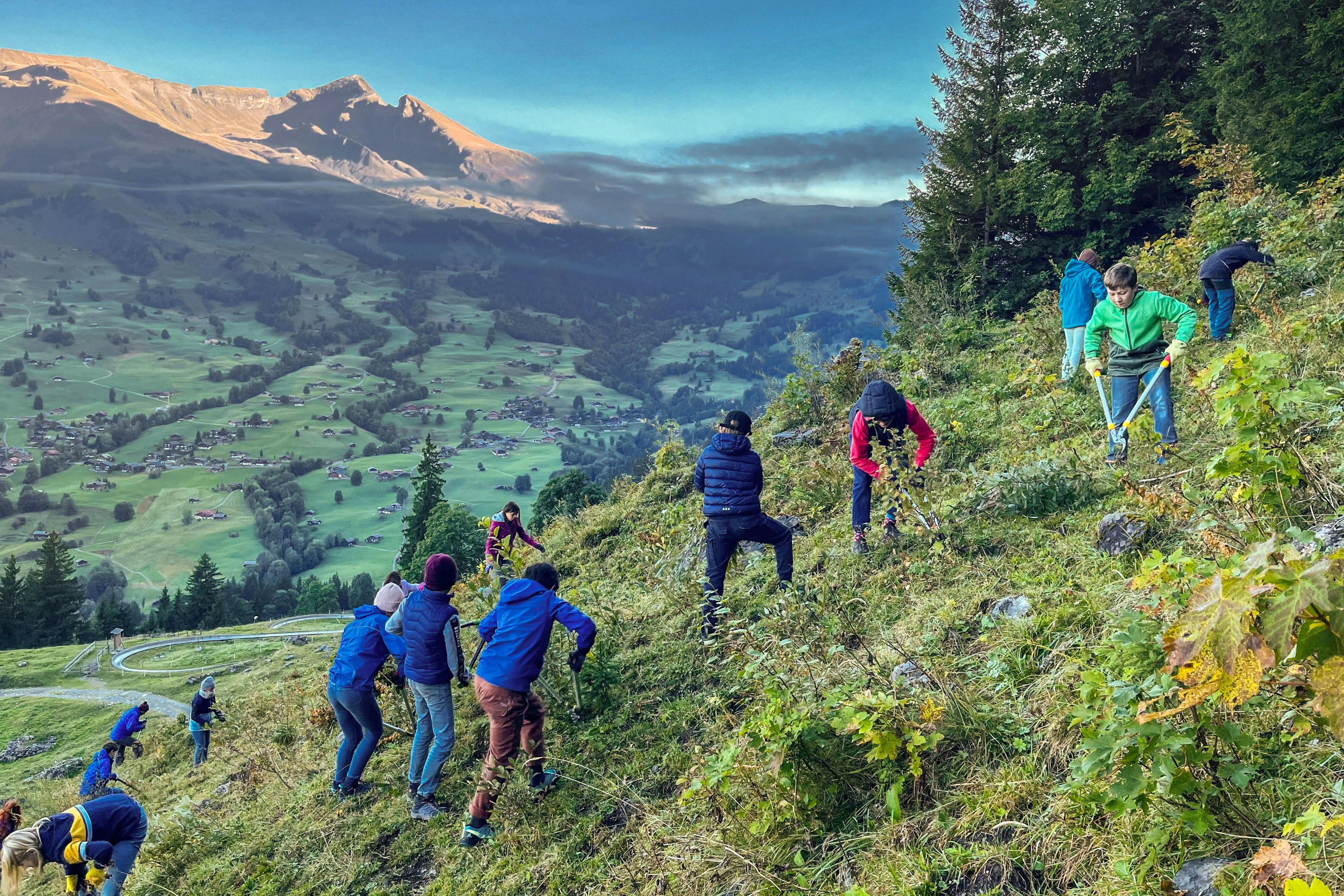 Zusammen mit dem UNESCO-Weltnaturerbe Schweizer Alpen Jungfrau-Aletsch (SAJA) bietet das Freilichtmuseum Ballenberg Nachhaltigkeitswochen für Schulen an.