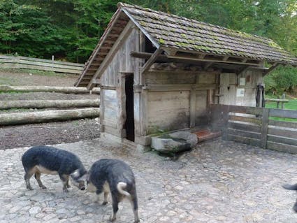 Der Schweinestall aus Brugg AG im Freilichtmuseum Ballenberg.