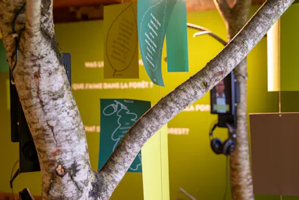 Gedanken zum Wald und zur Zukunft des Waldes im Forstmuseum des Freilichtmuseums Ballenberg.