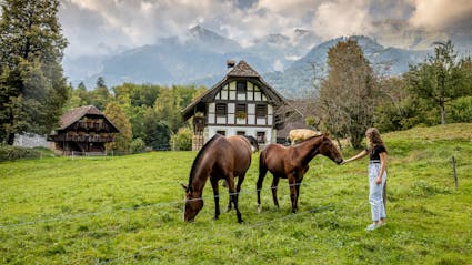 Pferde streicheln vor dem Stöckli aus Detligen / Radelfingen BE (333) im Freilichtmuseum Ballenberg.