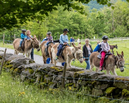 Im Freilichtmuseum Ballenberg finden verschiedenen Veranstaltungen statt. An einigen Anlässen wird auch Eselreiten und Ponyreiten angeboten.