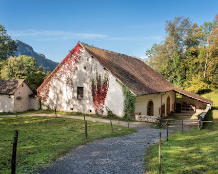 Das Bauernhaus mit Taubenhaus aus Lancy GE (551) im Freilichtmuseum Ballenberg