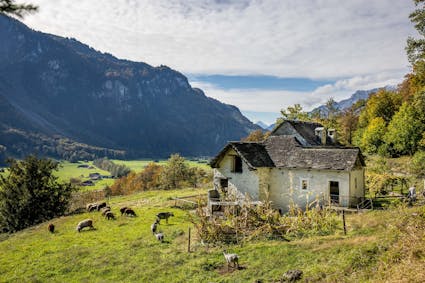 Entdecken Sie im Freilichtmuseum Ballenberg die Schweiz mit allen Sinnen. Hier gniessen ein paar Schafe und Ziegen das Gras vor den Wohnhäusern
aus Cugnasco TI (841).