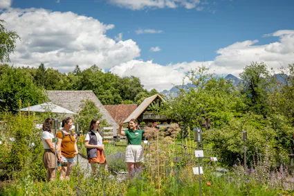 Die Drogistinnen und Drogisten der Stiftung Ballenberg Drogerie bieten jeden Sonntag öffentliche Heilkräuter-Führungen durch den einzigartigen Heilkräuter- und Duftgarten auf dem Ballenberg an.