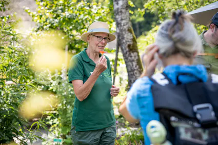 Die Drogistinnen und Drogisten der Stiftung Ballenberg Drogerie bieten jeden Sonntag öffentliche Heilkräuter-Führungen durch den einzigartigen Heilkräuter- und Duftgarten auf dem Ballenberg an.