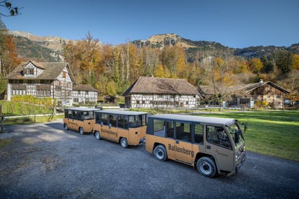 Ballenberg-Bahn