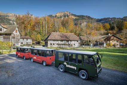 Ballenberg-Bahn