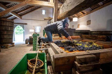 Die Weinpresse mit Baumstämmen von über zehn Metern länge in der Trotte aus Schaffhausen. Gepresst wurden Trauben, aber auch Äpfel für frischen Most.