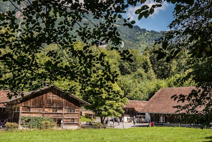 Das Bauernhaus aus Wila steht im Freilichtmuseum Ballenberg.