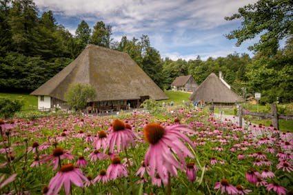 Schweizer Geschichte, Nachhaltigkeit und Biodiversität im Freilichtmuseum