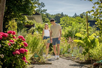 Ein unvergesslicher Ausflug in die blühende Natur des Freilichtmuseums Ballenberg