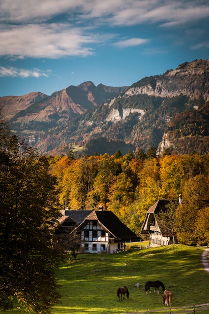 Der Herbst auf dem Ballenberg