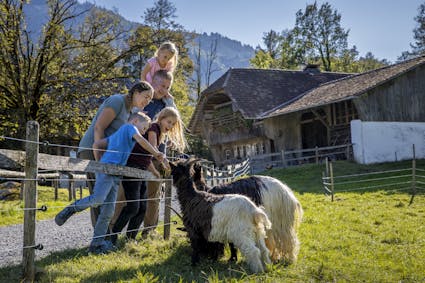Bei einem Spaziergang auf dem Ballenberg begegnen Familien auch Ziegen. 