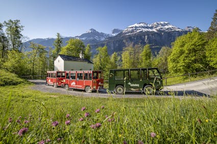 Erkunden Sie das Freilichtmuseum Ballenberg bequem mit der Ballenberg-Bahn. 