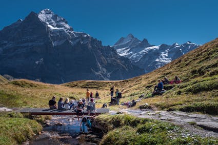 Durch die Zusammenarbeit des Freilichtmuseums Ballenberg (FLM) und des UNESCO-Weltnaturerbes Schweizer Alpen Jungfrau-Aletsch (SAJA) werden kleine und grosse Zusammenhänge gemeinsam und in Abhängigkeit zueinander gedacht.
