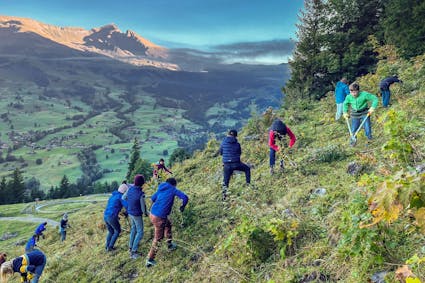 Durch die Zusammenarbeit des Freilichtmuseums Ballenberg (FLM) und des UNESCO-Weltnaturerbes Schweizer Alpen Jungfrau-Aletsch (SAJA) werden kleine und grosse Zusammenhänge gemeinsam und in Abhängigkeit zueinander gedacht.