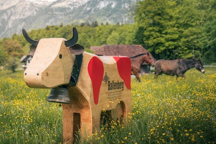 Finde Bärbel, die Holzkuh auf dem Ballenberg. Poste ein kreatives, freches Selfie mit dem Hashtag #BärbelsAbenteuer und gewinne tolle Preise.