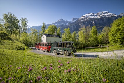 Ballenberg-Bahn Swiss Culture Park