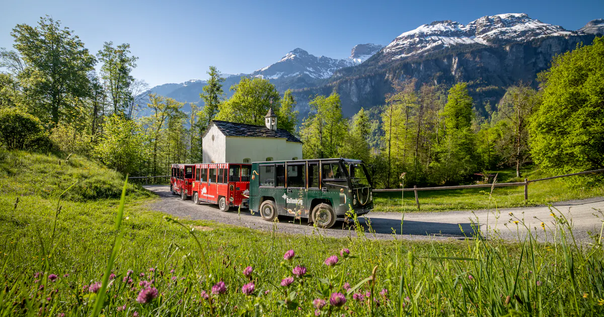 Ballenberg-Bahn