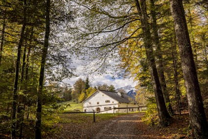 Das Bauernhaus aus La Chaux-de-Fonds NE (111) inmitten von Wäldern im Freilichtmuseum Ballenberg.