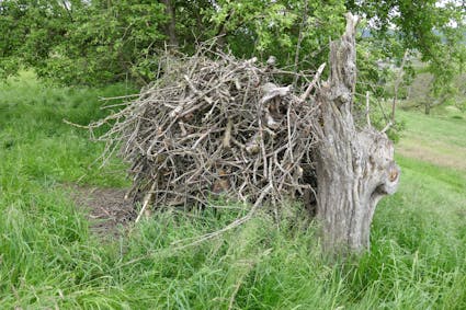 Jahresthema 2026: tierisch vielfältig. Freuen Sie sich auf eine besondere Ballenberg-Saison, die ganz im Zeichen der tierischen Vielfalt steht.
