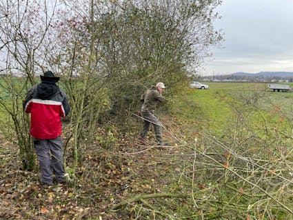 Jahresthema 2026: tierisch vielfältig. Freuen Sie sich auf eine besondere Ballenberg-Saison, die ganz im Zeichen der tierischen Vielfalt steht.