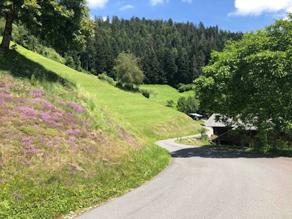 Jahresthema 2026: tierisch vielfältig. Freuen Sie sich auf eine besondere Ballenberg-Saison, die ganz im Zeichen der tierischen Vielfalt steht.