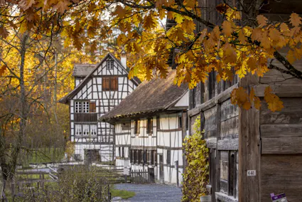 Im Freilichtmuseum Ballenberg sind über 100 historische Gebäude.