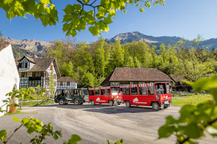 Erkunden Sie das Freilichtmuseum bequem mit unserer Ballenberg-Bahn.