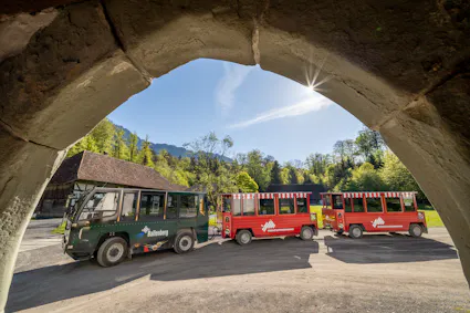 Erkunden Sie das Freilichtmuseum Ballenberg bequem mit der Ballenberg-Bahn.