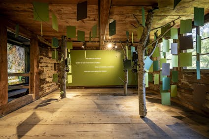 Im obersten Stock der Ausstellung «Mein Wald» wird nach der Zukunft des Waldes gefragt.