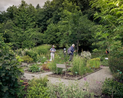 Im Heilkräutergarten im Freilichtmuseum Ballenberg wächst gegen jedes Leiden das richtige Kraut 