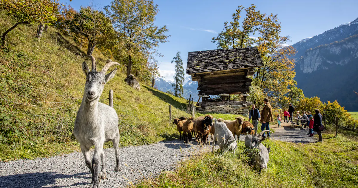 Jahresthema 2026: tierisch vielfältig