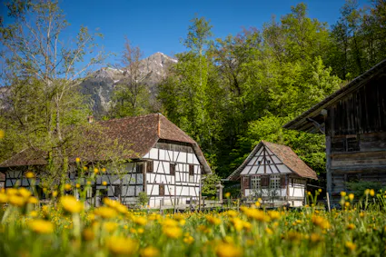 Planen Sie jetzt Ihren Ausflug ins Freilichtmuseum Ballenberg