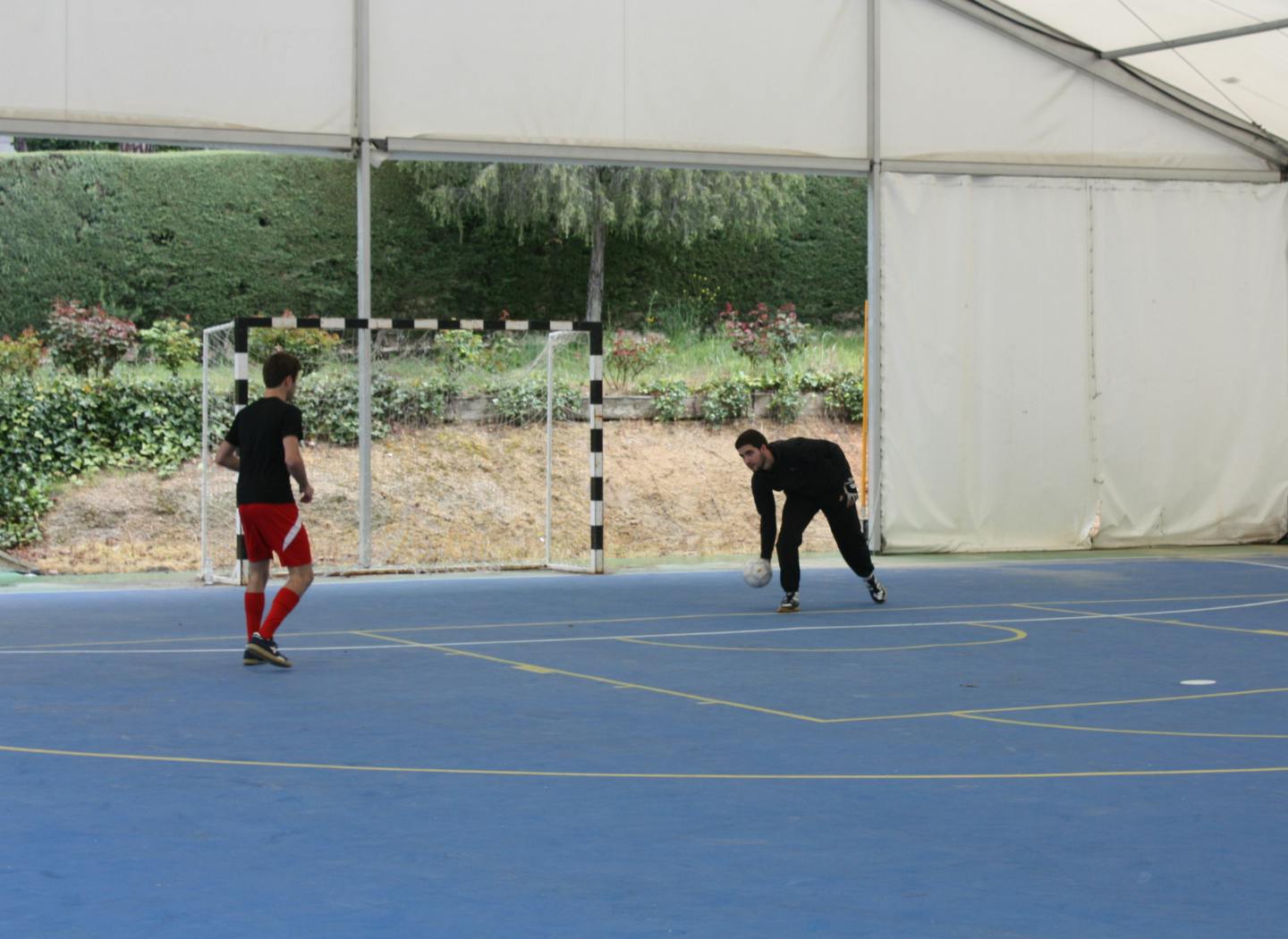 <h6>Futsal</h6>