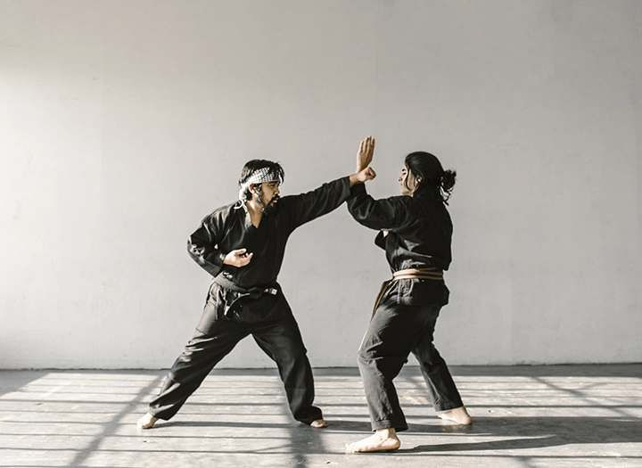 <h6>Sztuki walki</h6>