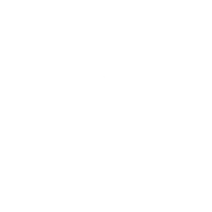 Type One VC logo